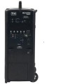 Beacon Line Array Portable Sound System with Bluetooth and 2 Wireless