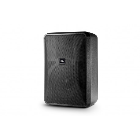 Control 28-1L High-Output 8-Ohm Indoor/Outdoor Background/Foreground Speaker