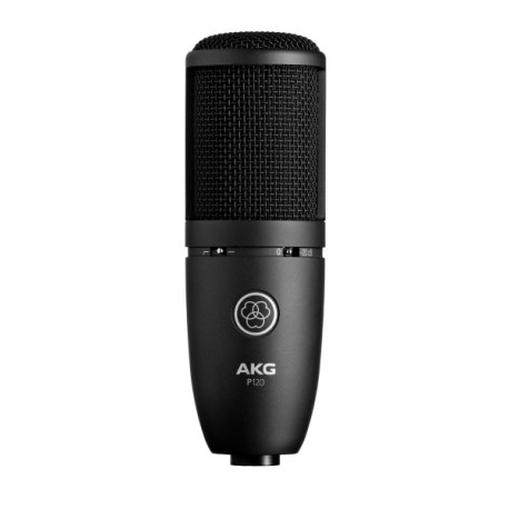 P120 High-Performance General Purpose Recording Microphone