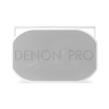 Denon Pro Indoor/Outdoor Speaker
