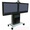 RPS-1000L Plasma & LCD Series Innovative Rollabout Stand