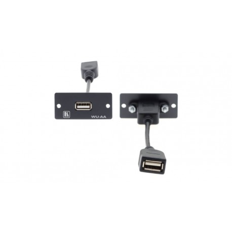 WU-AA Wall Plate Insert - USB (A/A)