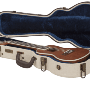 Ukulele in an open hard case.