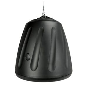 Hanging black speaker with sleek design.