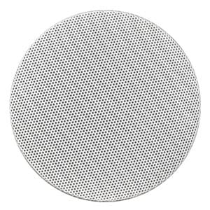 Round perforated metal speaker grille.