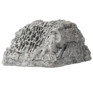Textured gray rock with intricate surface details.