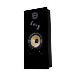 Black wall-mounted audio speaker.