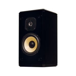 Black audio speaker with exposed woofer.