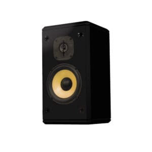 Black speaker with yellow cone driver.