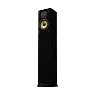 Tall black speaker with yellow cone driver.