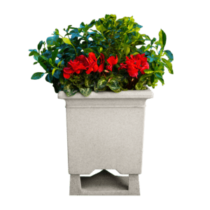 White planter with red and green foliage.