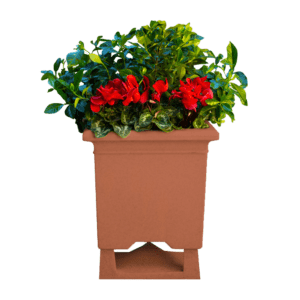 Terracotta planter with red flowers and greenery.