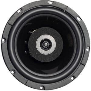 Round black audio speaker with central tweeter.