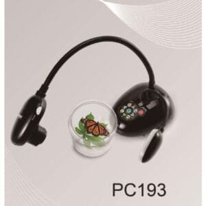 Digital camera and butterfly in a cup.