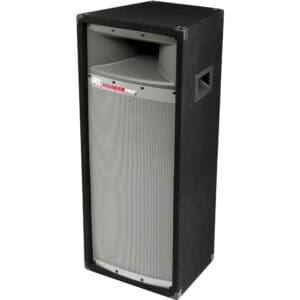 Black and gray rectangular speaker cabinet.