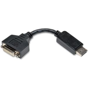 DisplayPort to DVI adapter cable.