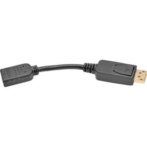 Black DisplayPort to HDMI adapter cable.