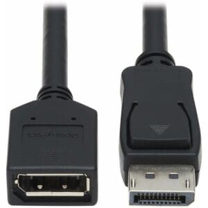 DisplayPort cable connectors, male and female ends.