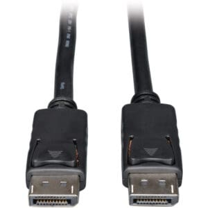Two DisplayPort cables with black connectors.