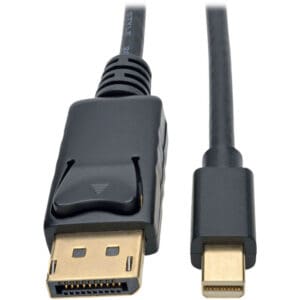 Mini DisplayPort to DisplayPort Adapter Cable 6ft