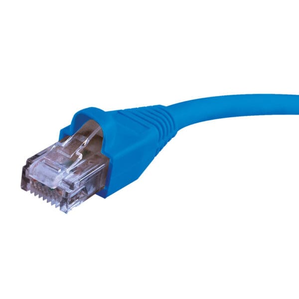 100ft Cat6 Patch Cable in Blue