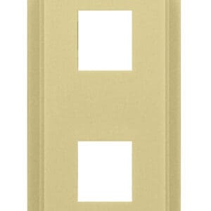 2-Port Decorator Outlet Strap in Ivory