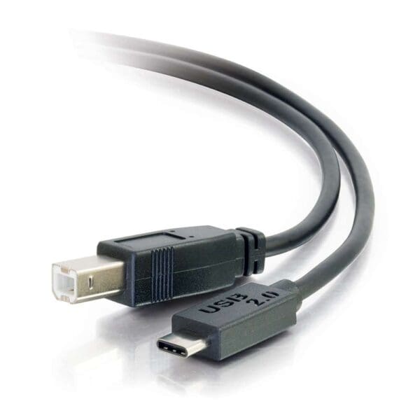 6ft USB 2.0 USB-C to USB-B Cable M/M - Black