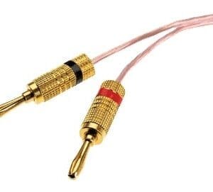 Pair of Gold Banana Plugs