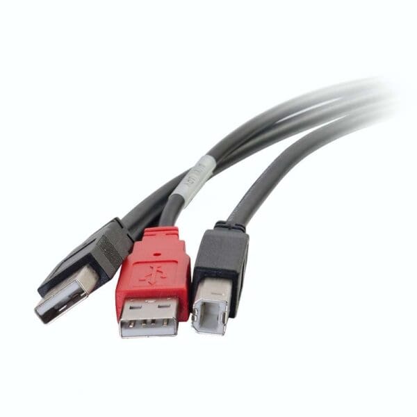 6 ft USB 2.0 One B Male to Two A Male Y-Cable