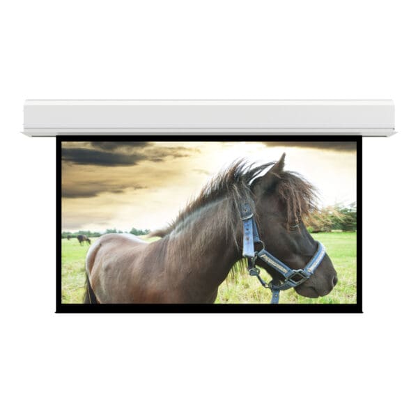 Da-Lite Advantage Series, 132.5" x 212" with Matte White - 14201BL