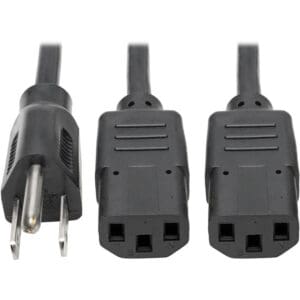 Here's an 8-word alt tag for the image: Two black power cords with US and IEC plugs.