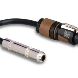 Audio cable with connectors on both ends.