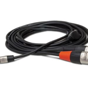 Audio cable with dual XLR connectors.