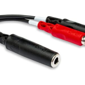 RCA to 3.5mm audio adapter cable.